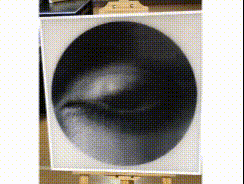 Photobooth lenticular prints